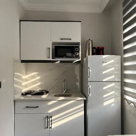 Moni Homes